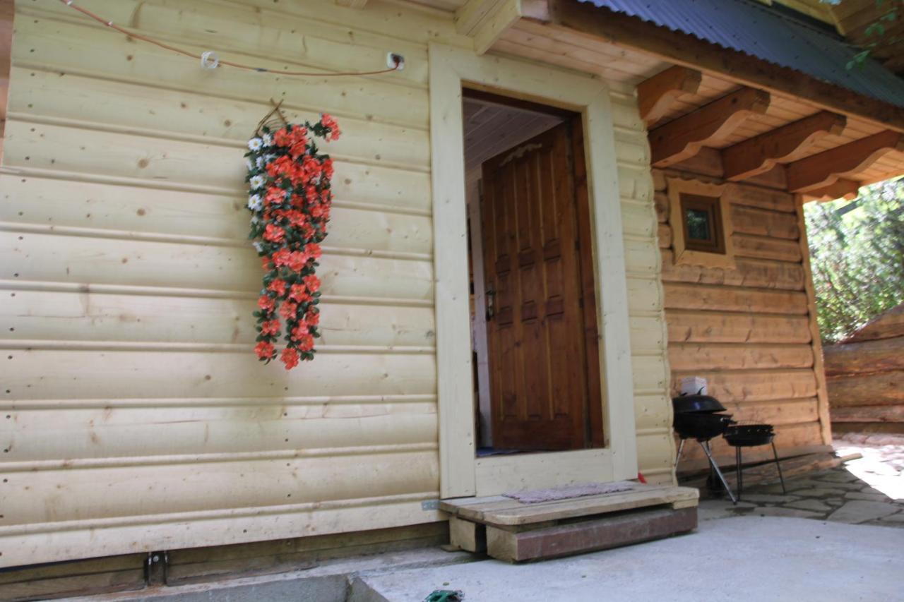 Domek Pod Zielonym Lasem Zakopane Exterior foto